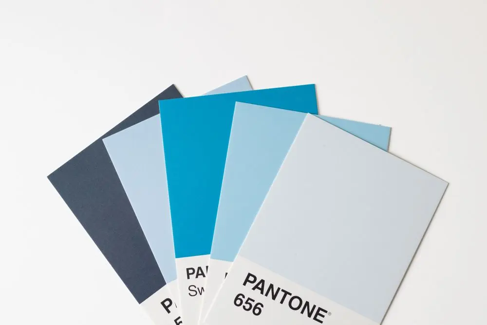 Colour swatch fans and brand sketches on a studio desk